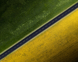 A beautiful aerial shot of a  rapeseed field with a road