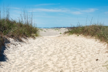 Dunes leading to the beach on Pawleys Island, South Carolina, USA.