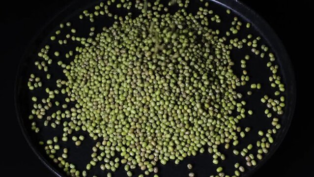 Slow motion of pouring dried green mung beans (Vigna radiata) on a plate. Close-up of organic Green Gram or Maash Beans falling down. Concept of healthy lifestyle, vegetarian or vegan food diet.