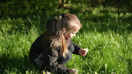 A school-age girl collects flowers in a meadow