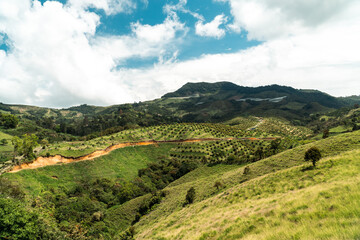Fototapeta na wymiar Mountain with avocado plantation and rural landscape. Jerico, Antioquia, Colombia. 
