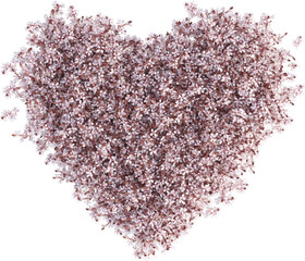 Flower garden in the shape of a heart