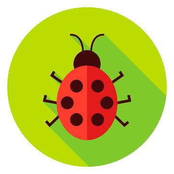 Ladybug Insect Circle Icon. Flat Design Vector Illustration with Long Shadow. Nature Animal Symbol.