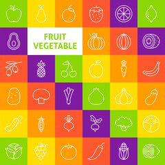 Vector Line Art Fruit Vegetable Icons Set. Modern Thin Outline Fresh Vegan Food Items over Colorful Squares.