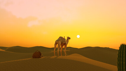 camel in the desert