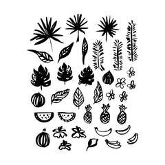 Hand Drawn Brush Plants. Vector Illustration of Grunge Spring and Summer Nature Paint Stain.