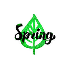 Spring Green Inscription. Vector Illustration of Nature Plant Postcard with Lettering.