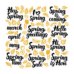 Spring Handwritten Lettering. Vector Illustration of Nature Calligraphy over White.