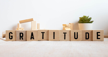 Gratitude - word concept on building blocks, concept