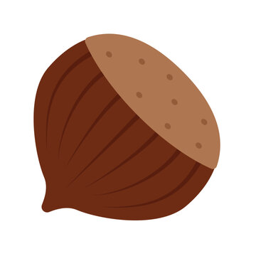chestnut flat vector illustration logo icon clipart