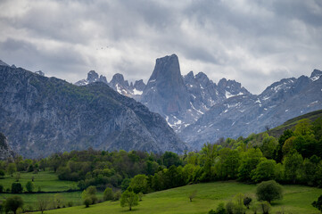 Obraz premium View on Naranjo de Bulnes or Picu Urriellu, limestone peak dating from Paleozoic Era, located in Macizo Central region of Picos de Europa, mountain range in Asturias, Spain