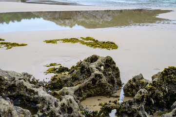 View on Playa de Borizo in Celorio, Green coast of Asturias, North Spain with sandy beaches, cliffs, hidden caves, green fields and mountains.