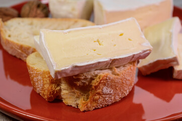 Lunch with fresh baguette and French white mold soft cow milk cheese Caprice des Dieux from Haute-Marne region, France