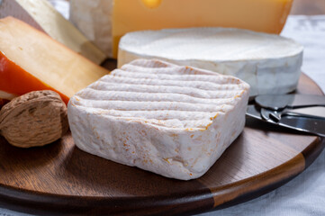 Collection of Belgian cheeses, soft yellow cow milk cheese with white mold from Bruges, bouquet des moines from Abbey of Val-Dieu, creamy cheese and beer cheeses