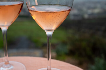 Tasting of premier cru sparkling rose wine with bubbles champagne outdoor with view on hilly pinot...