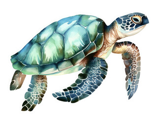 Fototapeta premium Sea turtle watercolor illustration on white. Generative AI