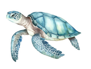 Watercolor style illustration of a sea turtle. Generative AI