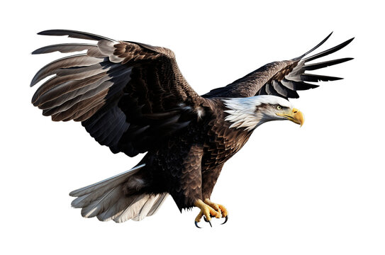 Eagle flying in transparent background. Generative AI.