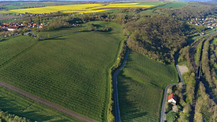 Weinberge bei Bad Sulza.