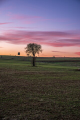 Fototapeta na wymiar sunset over the field