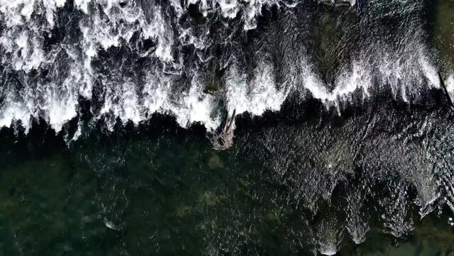 Flying over a fallen trunk, stuck in waterfalls of the Adda river in Lodi with a nest on its top  