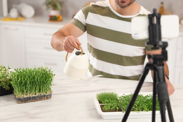 Teacher with microgreens and watering can conducting online course in kitchen, closeup. Time for...
