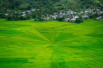 Fotobehang panoramic view of spider rice terrace field in ruteng, indonesia © jon_chica
