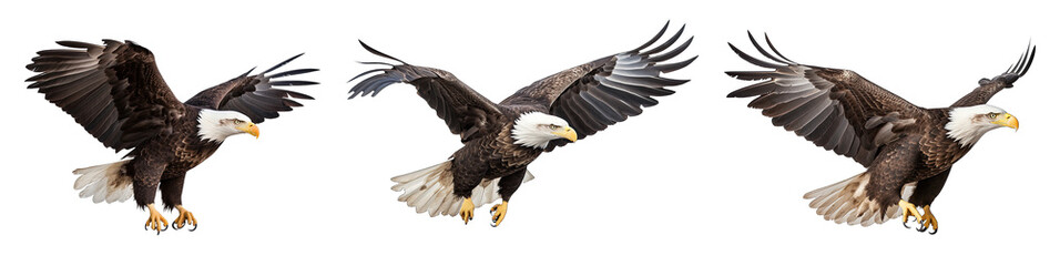 Bald Eagle Flying Set Isolated on Transparent Background - Generative AI
