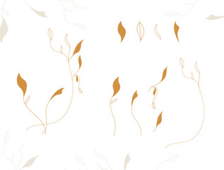 delicate flowers vector with thin lines, floral cute, floral fine lines