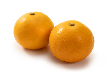 ニューサマーオレンジ