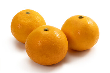 ニューサマーオレンジ