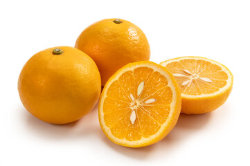 ニューサマーオレンジ