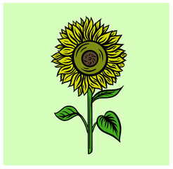 illustration of sunflower