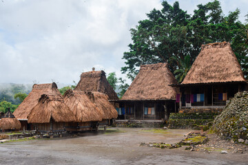 Fototapeta na wymiar traditional bena village in flores island, indonesia 