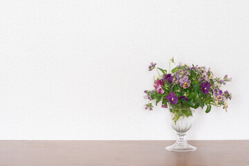 庭で採れたビオラという花