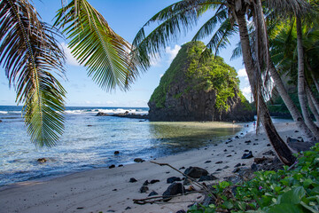 Fototapeta na wymiar Beach, palm trees and rock island, American Samoa