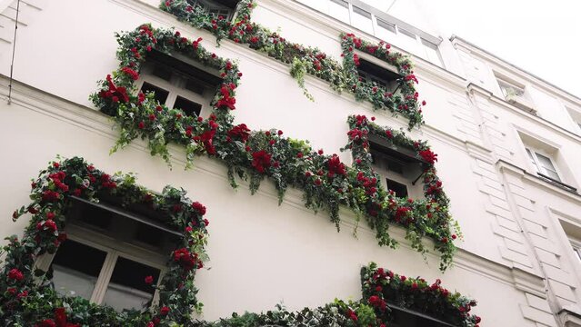 fa&ccedil;ade parisienne