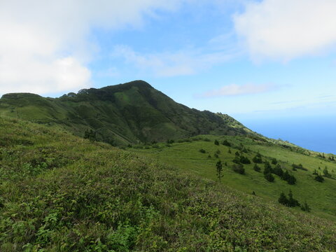 Green Mountain National Park, Ascension Island, South Atlantic, British Overseas Territory