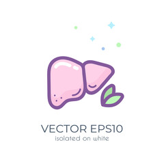 Cute colorful liver isolated on white