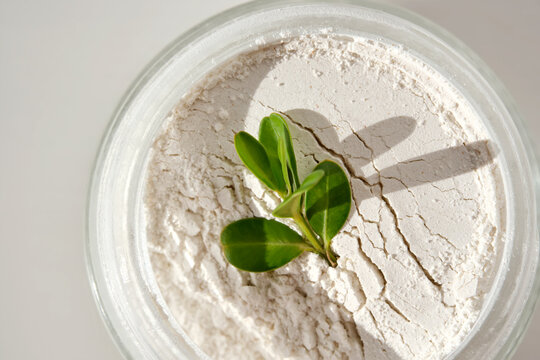 An open jar of facial scrub powder with a green sprig.