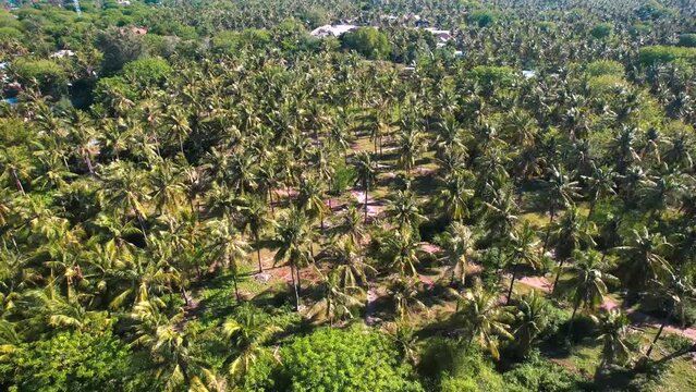 View of a balinese Villa in Gili Trawangan, Lombok, Indonesia