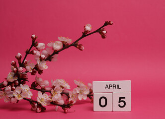 Wooden block calendar with date april 05 and peach blossom branch on pink background. spring time, planning, holiday
