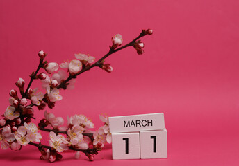 Wooden block calendar with date april 11 and peach blossom branch on pink background. spring time, planning, holiday