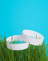 White paper bracelets among green grass on a blue background