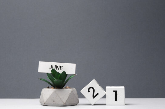 White block calendar with the date June 21 and decorative plant in pot on white-gray background. Deadline, planning, business concept