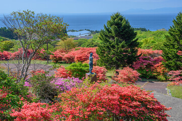 恵山ツツジ公園のツツジ