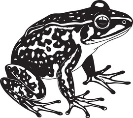 Frog silhouettes vector illustration, SVG	