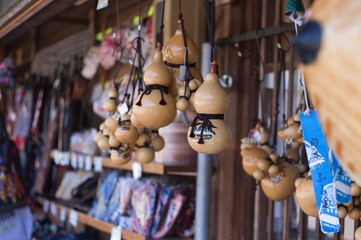 世界遺産飛騨白川郷の春