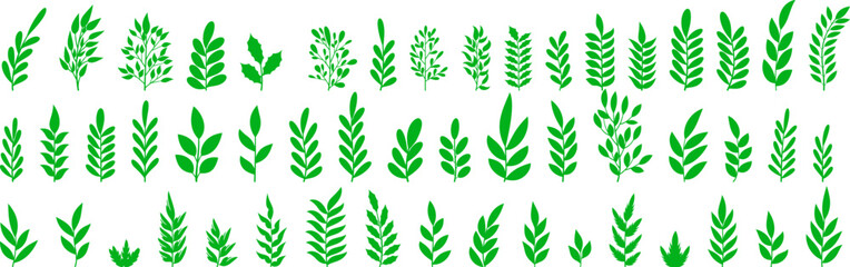 Set of green leaf icons. Leaves of trees and plants.Green color. Leafs green color icon logo. Leaves on white background. Ecology. Vector illustration
