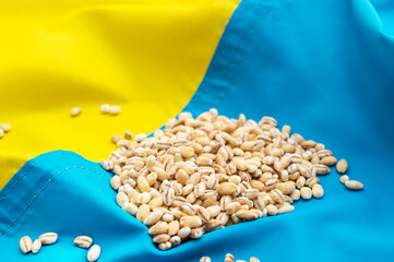 Heap of wheat grain on Ukrainian flag. Close up.